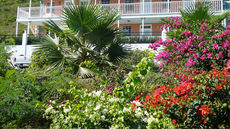 Arawak Bay The Inn at Salt River